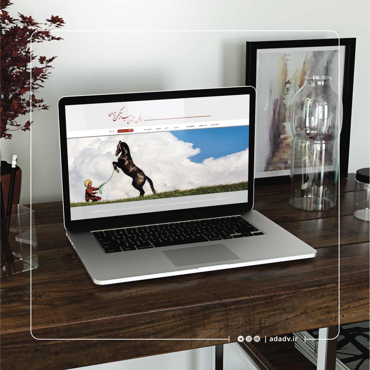portfolio